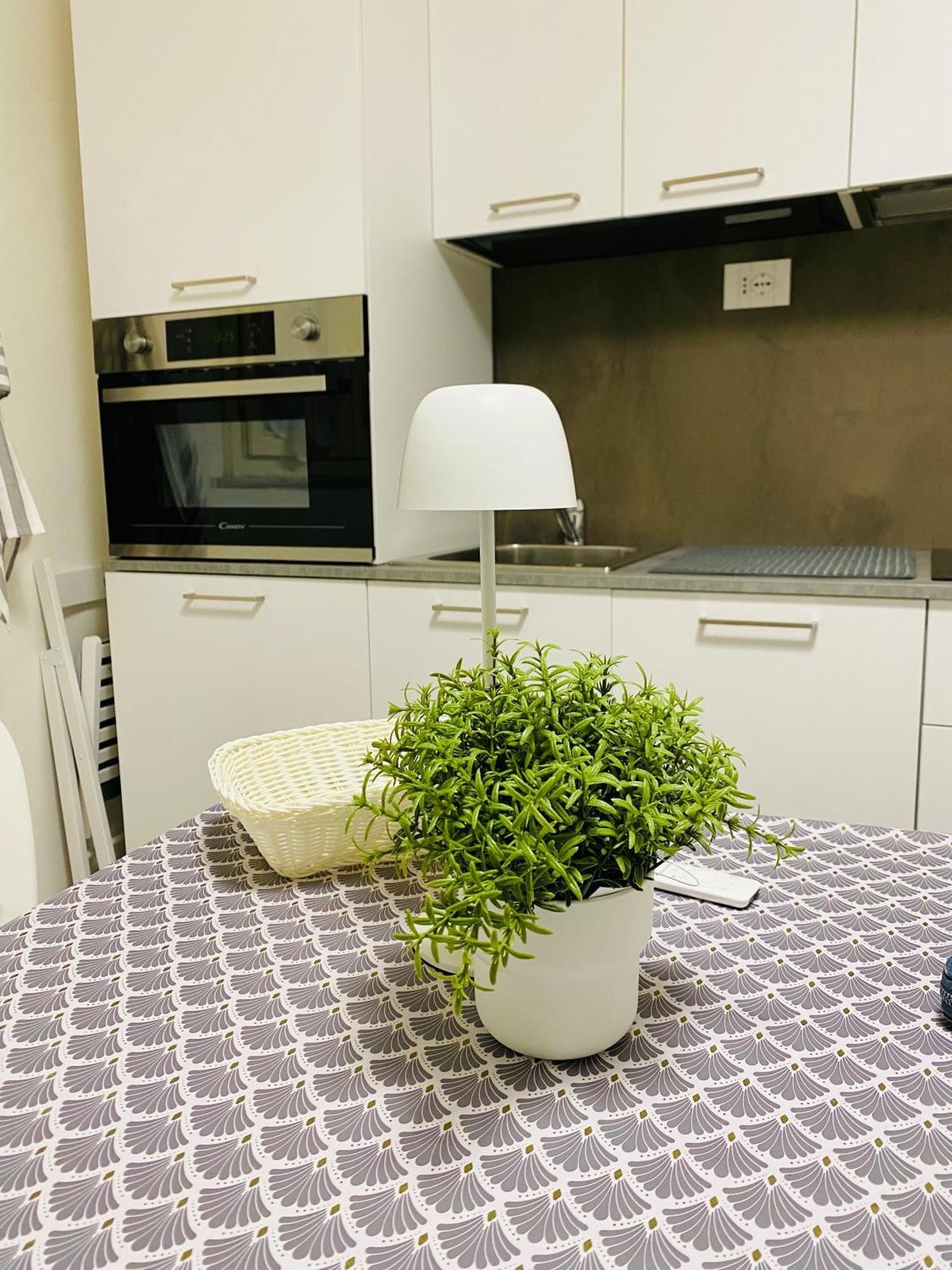 II Sogno Nel Vicolo Apartment ปิซา ภายนอก รูปภาพ